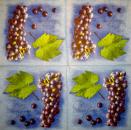 031 Grapes - 3-ply - Ti-Flair
